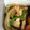 conte1214's cooksnap of when they made エリンギと豚肉のオイスターソース炒め.