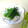 クッキーシアス's cooksnap of when they made おくらの浅漬け(o^^o).