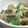 umemodoki's cooksnap of when they made オクラとしめじの煮びたし★.