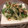 七氷♪'s cooksnap of when they made 豆腐とおくらとかいわれの梅肉和え.