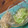 ツンドラ's cooksnap of when they made 品の良いきゅうりの酢の物の作り方。.