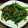 ちべターリー's cooksnap of when they made ししとうのポン酢炒め.