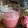 つつくんこ's cooksnap of when they made すいかヨーグルトシェイク.