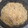 ゆるмαмα's cooksnap of when they made ✿中華風たけのこご飯✿.