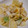 ヨシヨッシー's cooksnap of when they made 白だし簡単 白菜のお漬物.