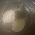 ふぁんころ's cooksnap of when they made はまぐりの潮汁.