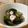 mantacarp's cooksnap of when they made 簡単！たこときゅうりの酢の物.
