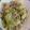 frootique's cooksnap of when they made 超簡単！レタスと豚肉のオイスター炒め☆.