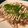 クック☆やーっ！'s cooksnap of when they made 厚切り豚ロースでごちそう照り焼きステーキ.