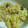 モナカのママ's cooksnap of when they made 簡単☆カレーピラフ.