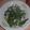 Jock's cooksnap of when they made エンサイ（空芯菜）の『食べるラー油』炒め.