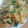 wonderfulworld's cooksnap of when they made にらと玉ねぎの簡単！チヂミ.