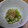 mogucchi's cooksnap of when they made みょうがの甘味噌炒め.