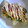 mitochondria's cooksnap of when they made とろとろ～おもちのピザ♪.