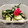 プルンバゴ's cooksnap of when they made とっても簡単～＊塩きゅうり＊.
