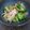 brinquedo's cooksnap of when they made ブロッコリーとじゃがのおかかの和え物♪.