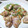 くろぶち's cooksnap of when they made ハマる・・・♡鶏もものネギ塩だれ.