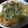 mamisio's cooksnap of when they made 野菜たっぷり！あんかけ焼きそば☆.