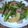framboise⁂'s cooksnap of when they made 簡単!ニンニクの根の炒め物.