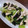 ヌーシ's cooksnap of when they made 鶏肉と青梗菜のしお炒め.