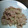 ししぽん's cooksnap of when they made みょうが好きには是非！茗荷と豚肉の塩炒め.