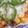 ぷらすないん's cooksnap of when they made ★ピザ風？！カリッ♪トロ〜ンな厚揚げ焼★.