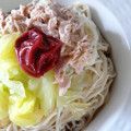 gomacookie's cooksnap of when they made ダイエット梅いなにわうどん.