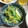 ＴＯＭＯＷＡＴ's cooksnap of when they made 茗荷とキュウリの和え物.