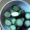 ぷたい's cooksnap of when they made 塩のみ！簡単きゅうりの漬物.