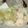 monemaruku's cooksnap of when they made 鶏だんごの煮物.