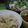 poorider's cooksnap of when they made かつおのたたき、キムチ乗せ.