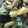 amiami1234's cooksnap of when they made つるむらさきのガーリック炒め.