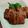 気まぐれ♡雨おんな's cooksnap of when they made いわしの蒲焼き.