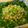 vegeange's cooksnap of when they made 野菜たっぷりおからのサラダ.