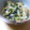 あずのすけ's cooksnap of when they made ゴーヤと玉ねぎの煮物.