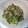 Raiｒeo's cooksnap of when they made きゅうりとみょうがのおかか和え☆.
