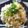 いずみるく's cooksnap of when they made 塩ポン酢で✿鮭と玉子の混ぜ寿司.