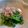 おぶうさま's cooksnap of when they made みつばのおひたし.
