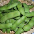 はぁこママ's cooksnap of when they made ヘルシー！おいしい！枝豆の塩茹で！.