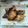 ®mama's cooksnap of when they made フワフワ☆ぷりぷり♪ぶりの照り焼き.