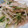 littlelily2007's cooksnap of when they made 混ぜて簡単☆大根ときゅうりのゆかりサラダ.