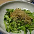 元クマ's cooksnap of when they made カリカリじゃこにんにく♥大根葉炒め.