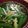 marilin36's cooksnap of when they made にらとごまの簡単ピリ辛スープ♪.