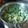 深雪ママ０３'s cooksnap of when they made 簡単☆味噌汁=韮玉=.