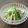 kigiri's cooksnap of when they made オクラと蒸し鶏のサラダ.