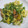 しおりんりく's cooksnap of when they made 弁当にも★ピーマンとウィンナーの卵炒め.