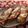 ふんわりしょこら's cooksnap of when they made 簡単ナスの豚味噌チーズ焼き.