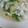 我が家のくろねこ's cooksnap of when they made セロリとイカの塩炒め.