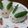 まあくんのおくさん's cooksnap of when they made 簡単ちりめんじゃこ佃煮風.