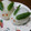 まあくんのおくさん's cooksnap of when they made 簡単ちりめんじゃこ佃煮風.